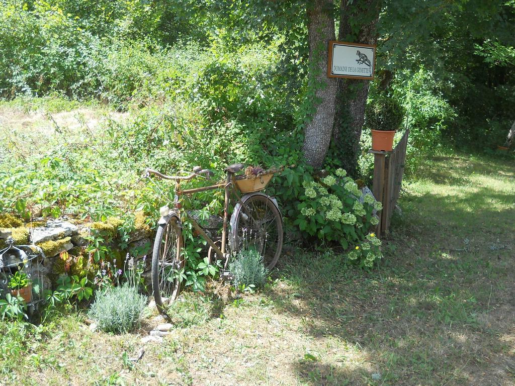 Le Domaine De La Genette Villa Paussac-et-Saint-Vivien Eksteriør bilde